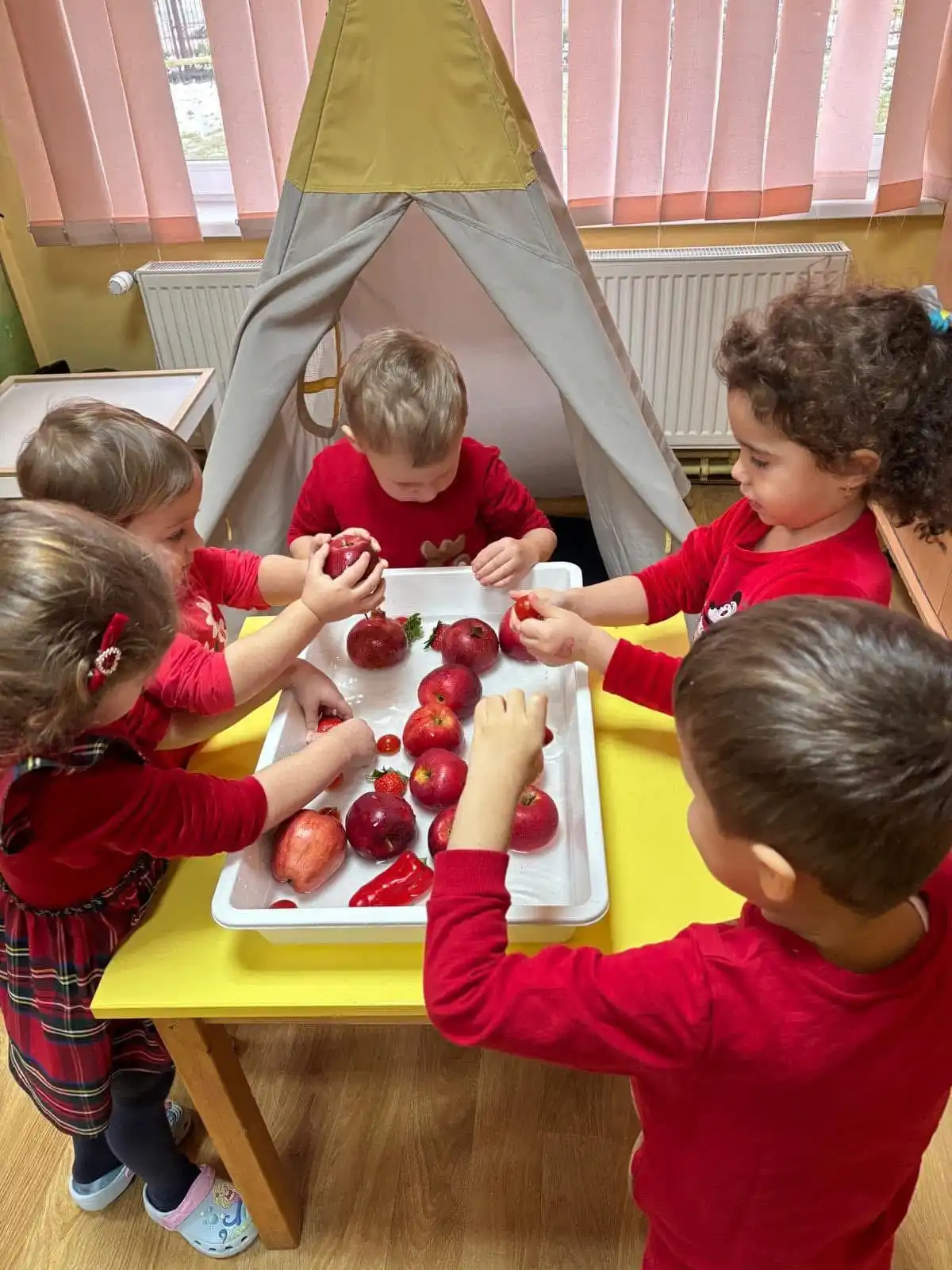 Activitate practică la Grădinița 28 Baia Mare
